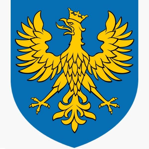 Więcej o: Nowy program ochrony powietrza dla województwa opolskiego 